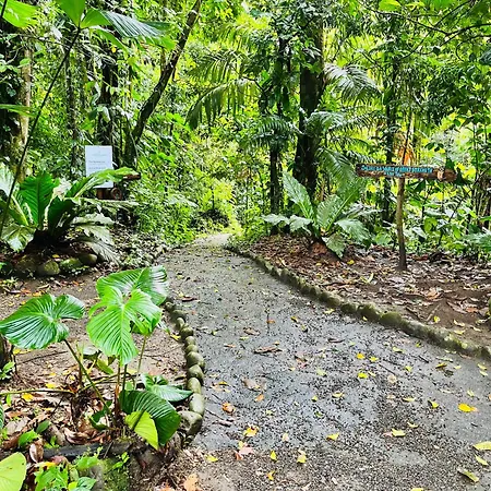 Wellness Park Cr Villa La Fortuna Exterior photo