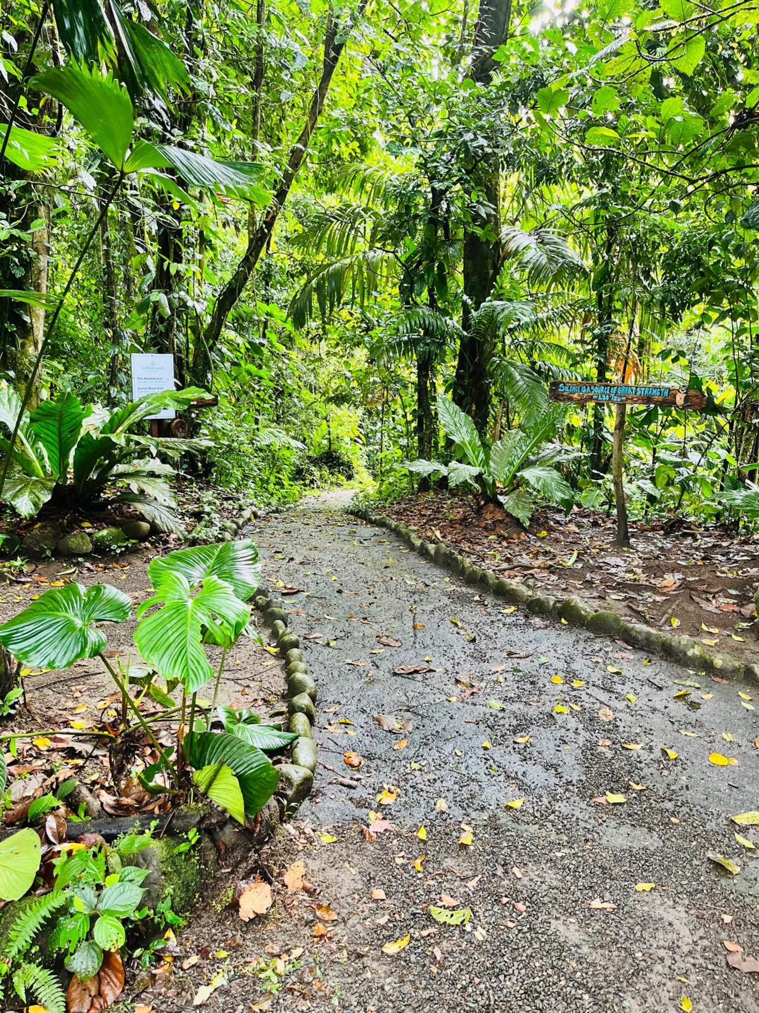 Holiday home Wellness Park Cr La Fortuna