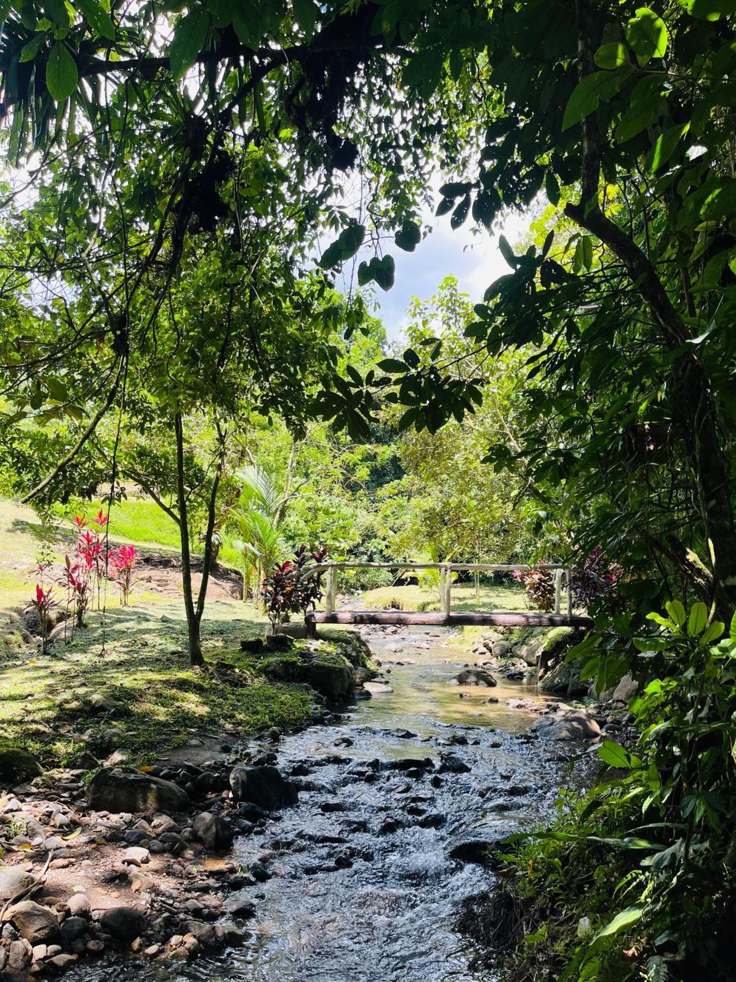 Holiday home Wellness Park Cr